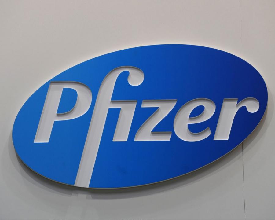 Фото: Global Look Press