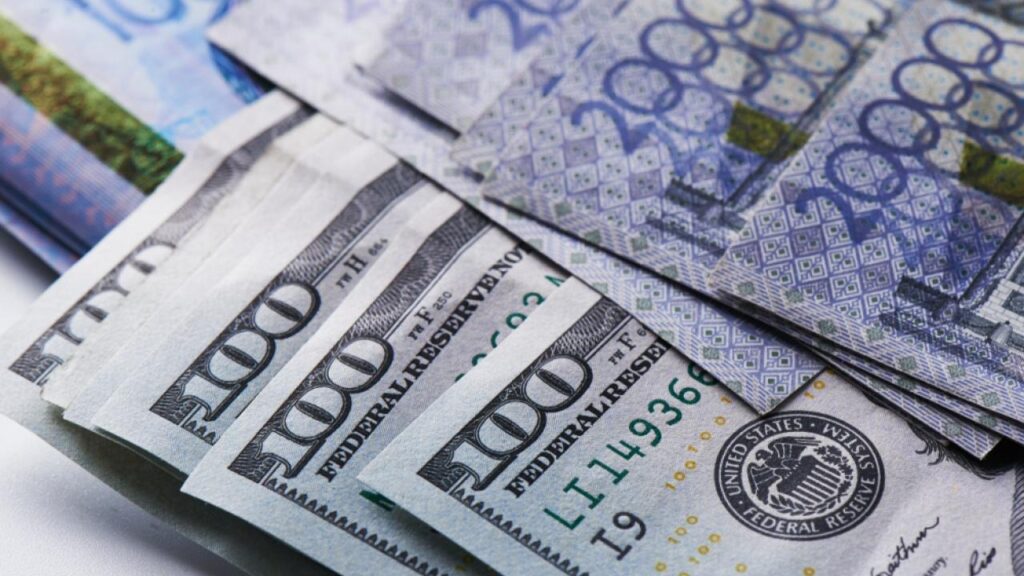 Фото: Shutterstock