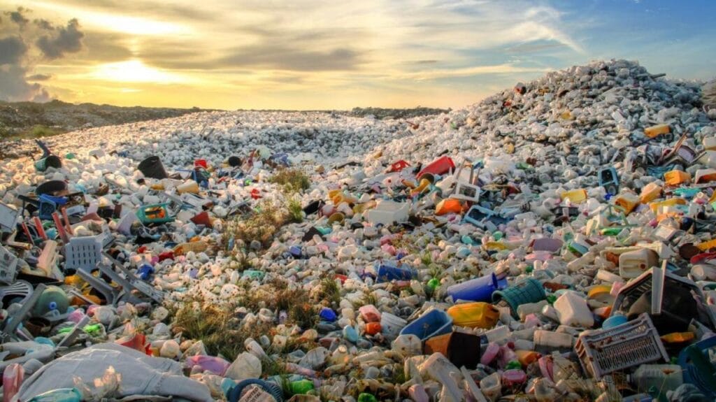 Фото: Shutterstock