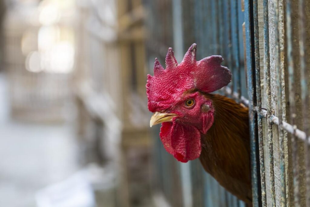 Фото: Depositphotos