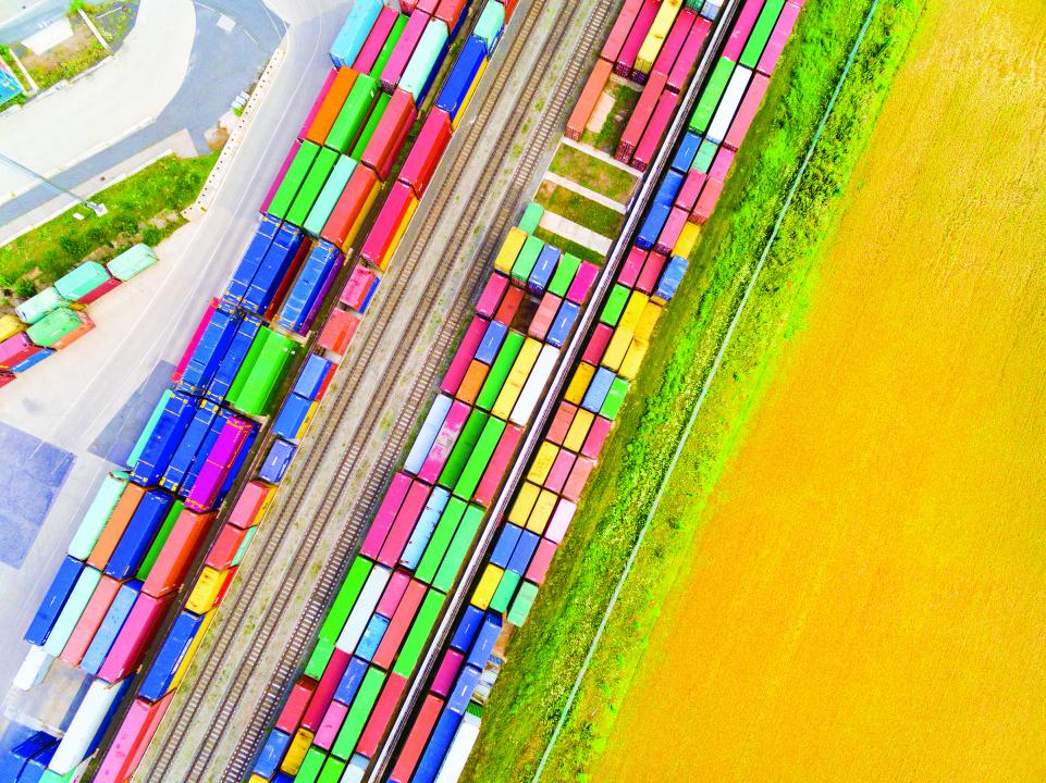 Фото: Depositphotos/vladvitek