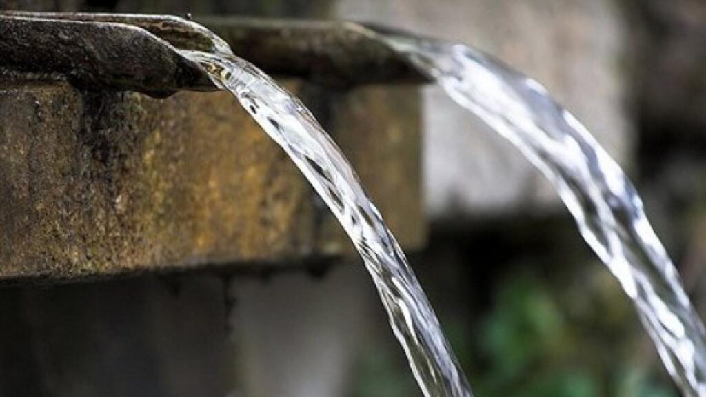 Фото: Shutterstock