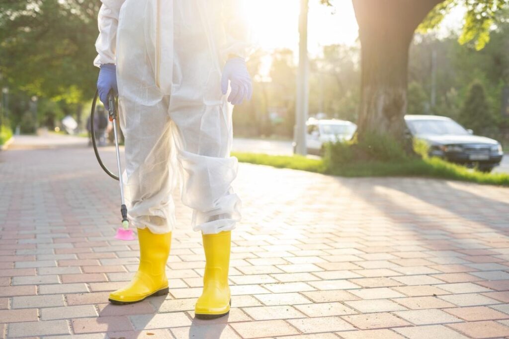 Фото: Офелия Жакаева