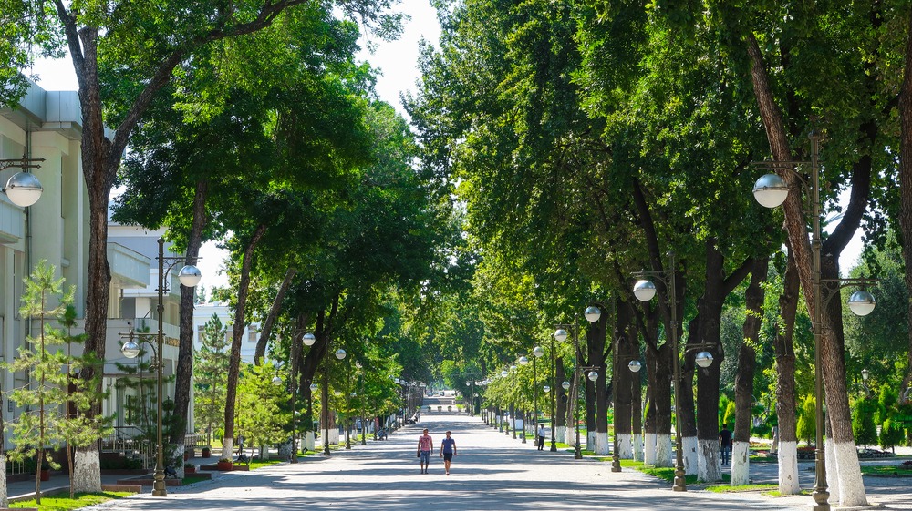 Фото: Nixy Jungle / Shutterstock.com