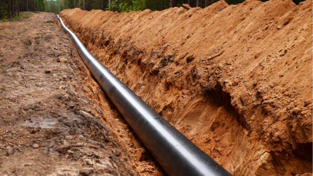 Фото: Shutterstock