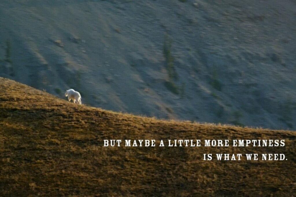 На фоне спада спроса в туристической отрасли в рекламном ролике штата Вайоминга изолированность преподносится как преимущество. ФОТО: WYOMING OFFICE OF TOURISM
