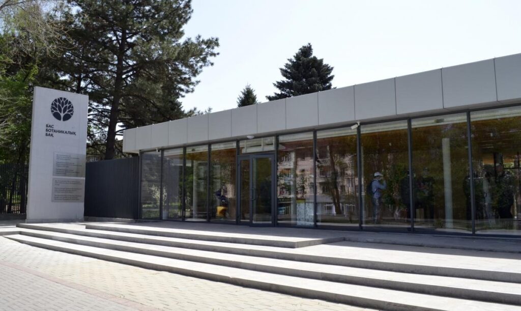 Фото: Татьяна Николаева, коллекция Ботанического сада Адматы