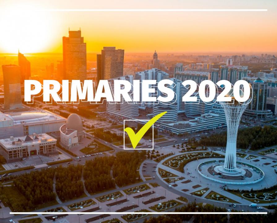 Фото: "Нұр-Отан" партиясының баспасөз қызметі 