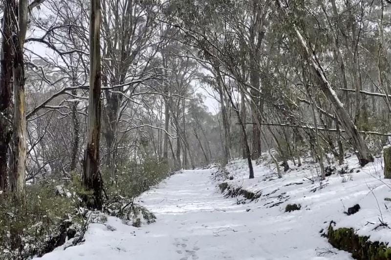 Австралияда қар жауды 