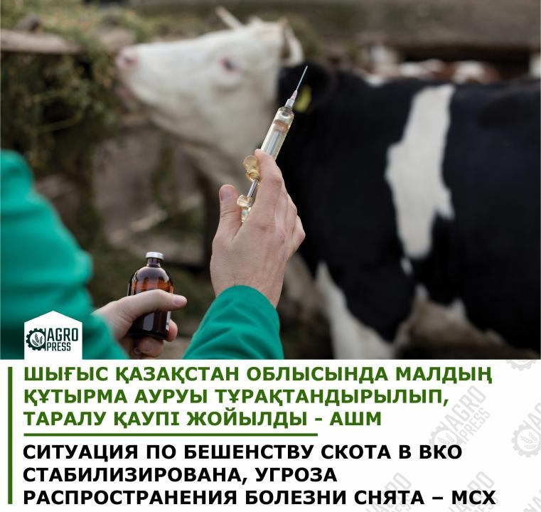 Фото: АШМ ресми сайтынан