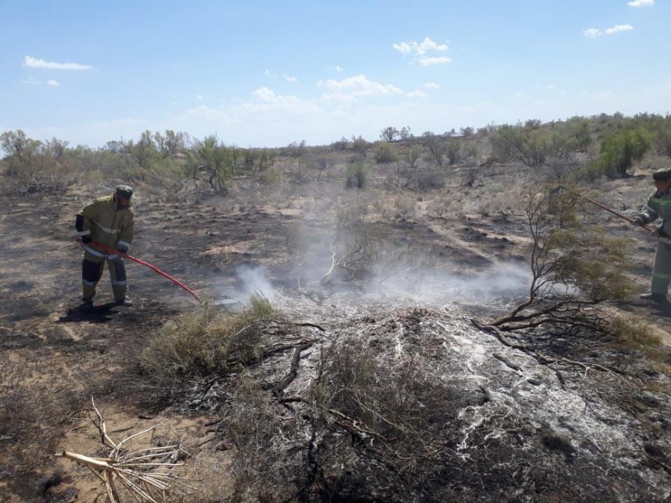Фото: L.Ablanova(Shaposhnikova)