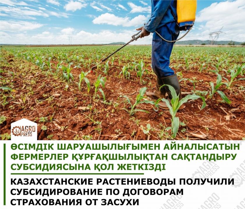 Фото: ҚР АШМ