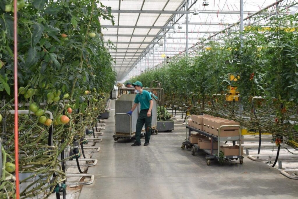 Фото: ҚР индустрия және инфрақұрылымдық даму министрлігі