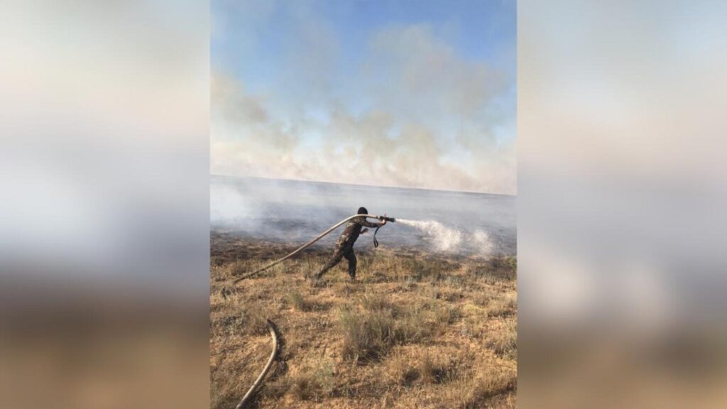 Фото:Polisia.kz сайты