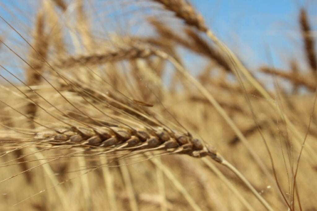 Фото: Shutterstock