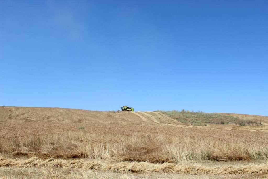 Пайдаланылмай жатқан 2 млн гектар жер мемлекет меншігіне қайтарылды