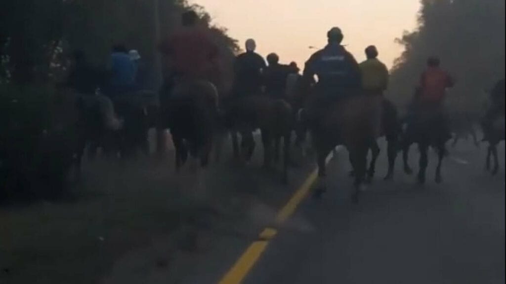 Алматы облысында жол үстінде “көкпар” тартқандар жауапкершілікке тартылды