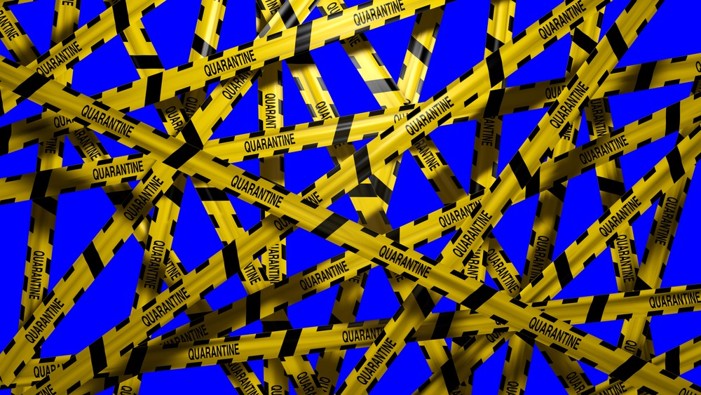 Фото: Shutterstock