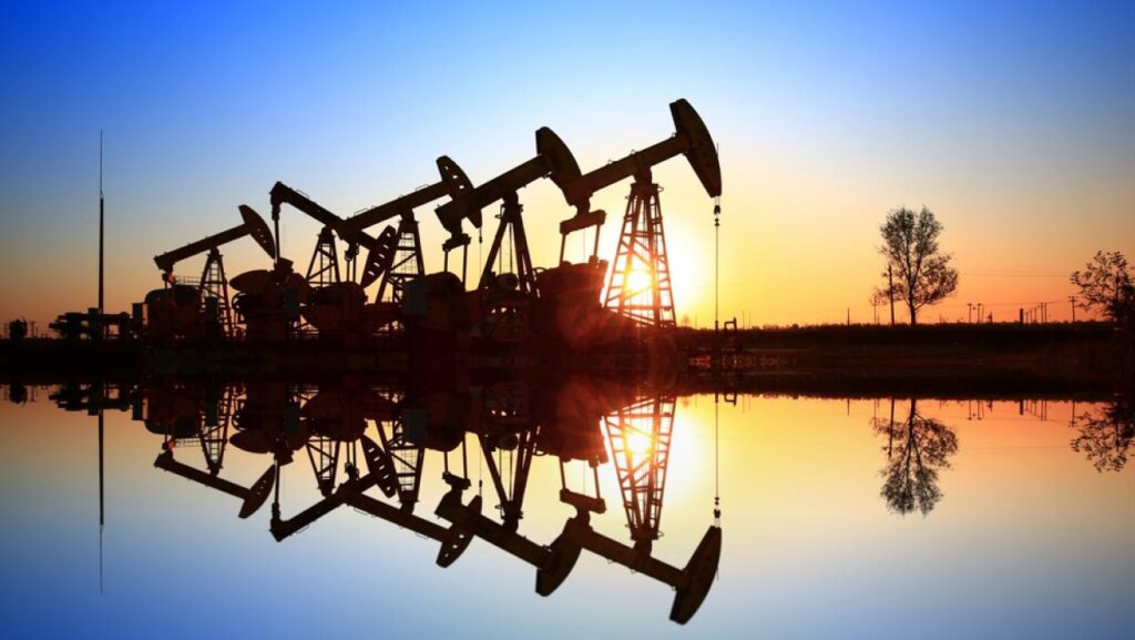 Фото: Shutterstock