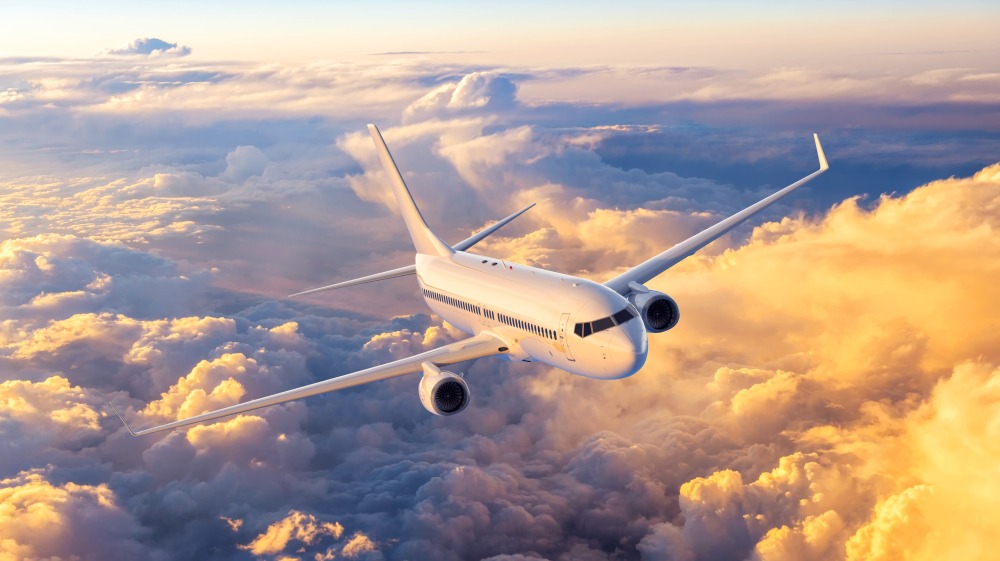 Фото: Shutterstock