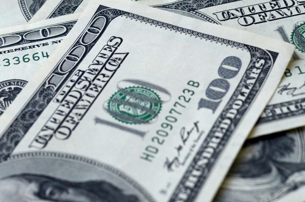 Фото: Mehaniq/shutterstock