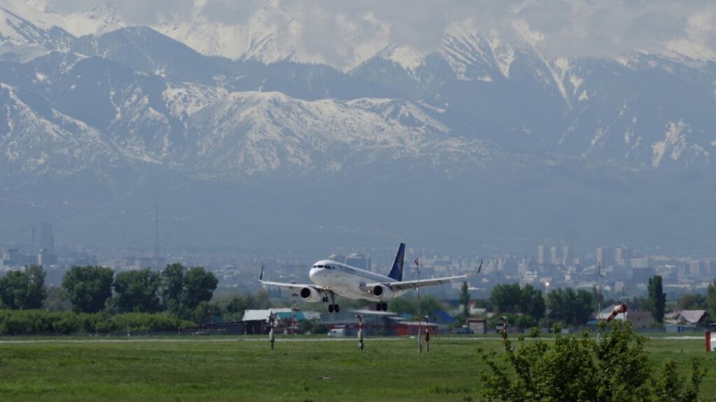 Фото: Shutterstock.com