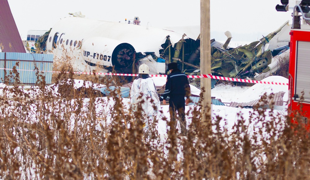 Фото: V.Baturin / Shutterstock.com