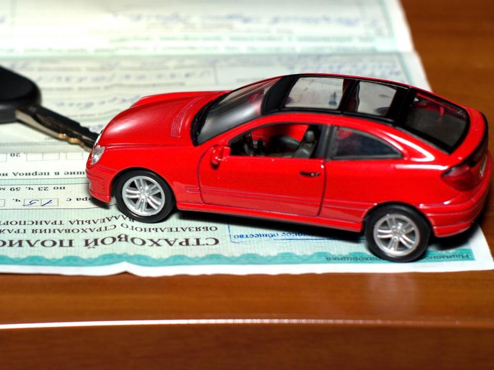 Фото: Shutterstock.com