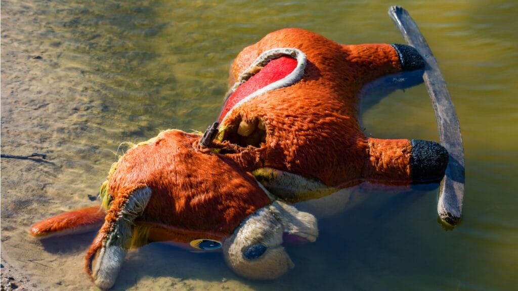 Алматыда үш оқушы суға батып кетті