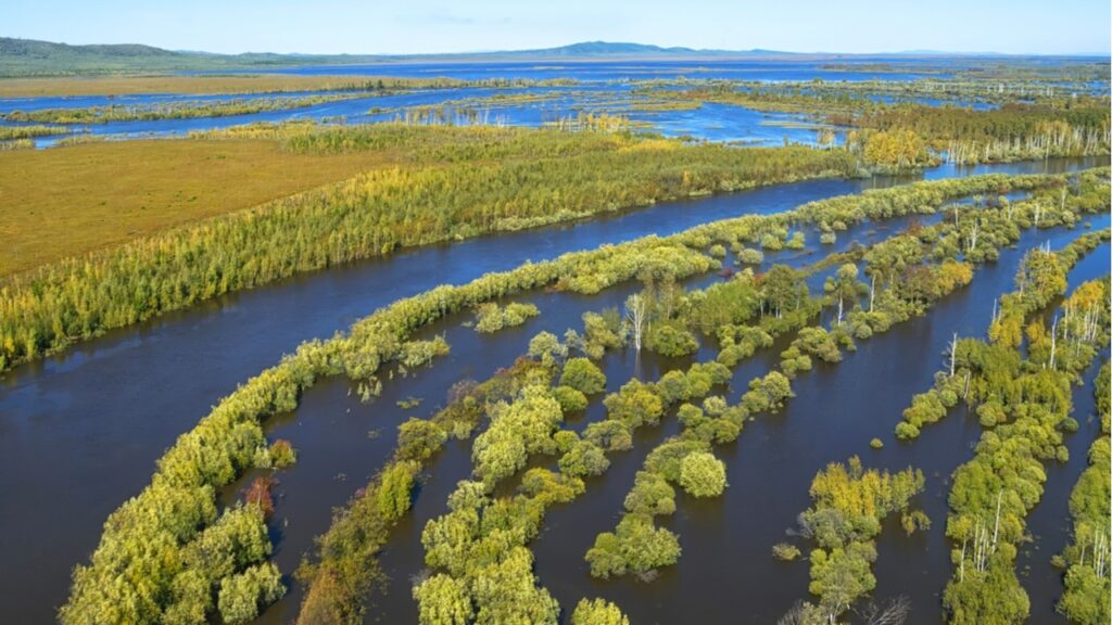 Фото: Shutterstock