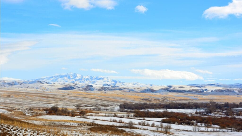 Фото: Colobus/Shutterstock