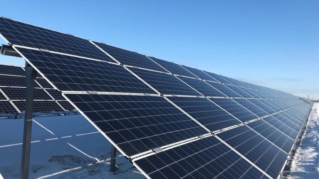 Фото: Shutterstock