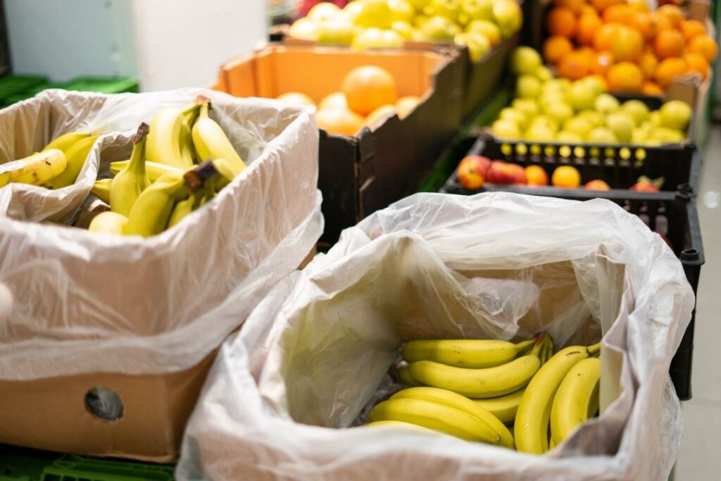 Фото: Офелия Жакаева