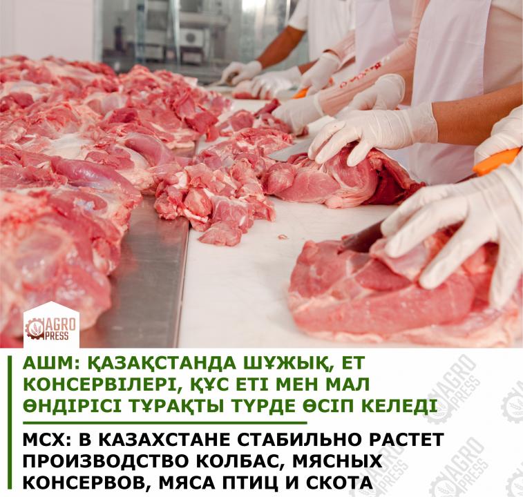 Фото: АШМ баспасөз қызметі 