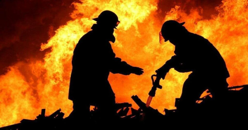 Фото: Polisia.kz сайты