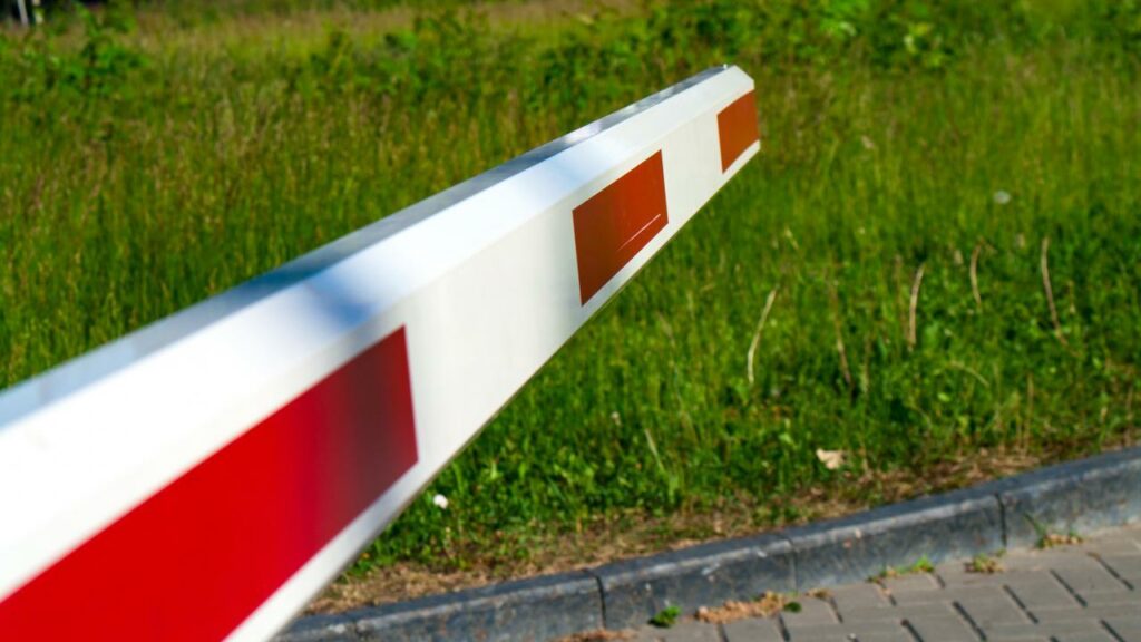 Фото: Shutterstock