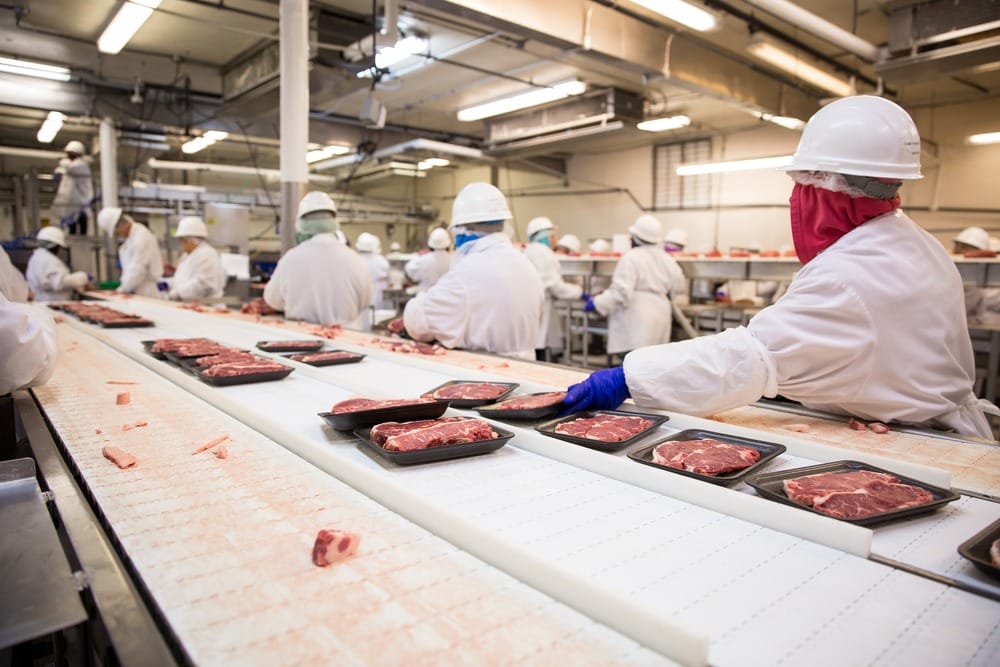 Строительство крупного мясоперерабатывающего завода начнется весной 2020 года