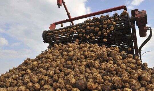 Фото: Polisia.kz сайты