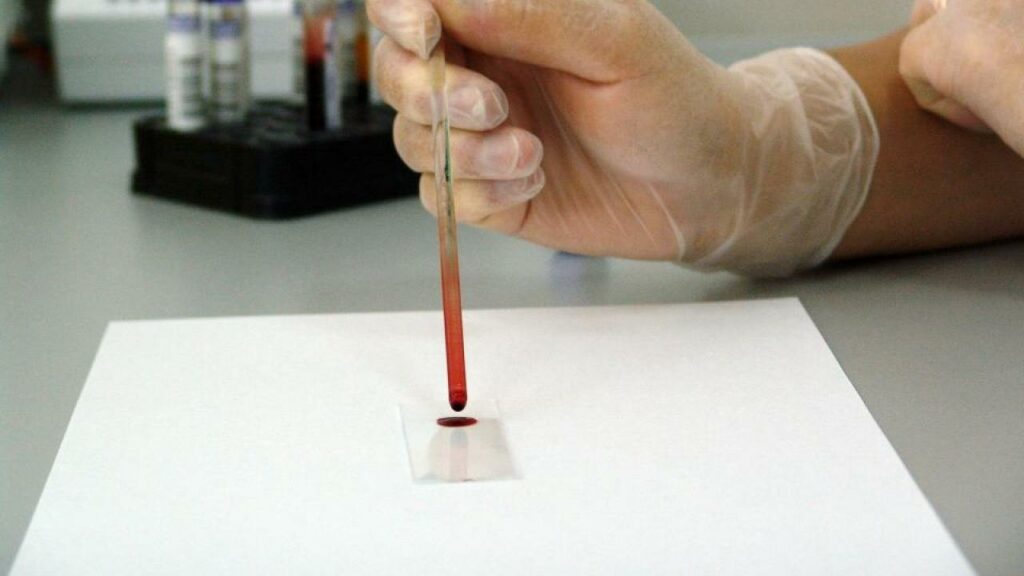 Фото: Pixabay.com