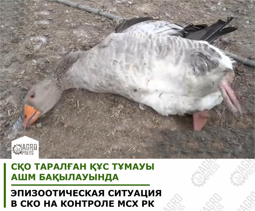 Фото: АШМ баспасөз қызметі