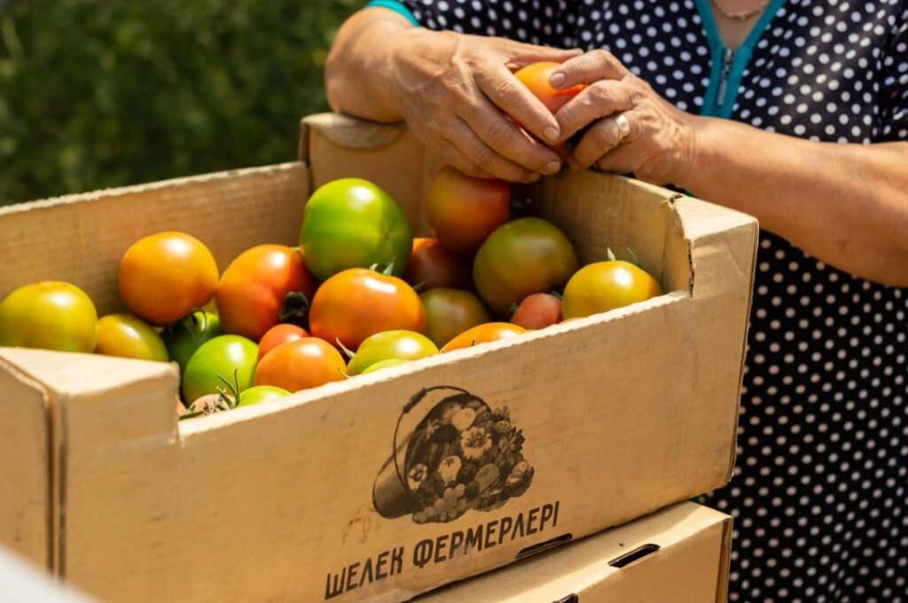 Фото: Офелия Жакаева