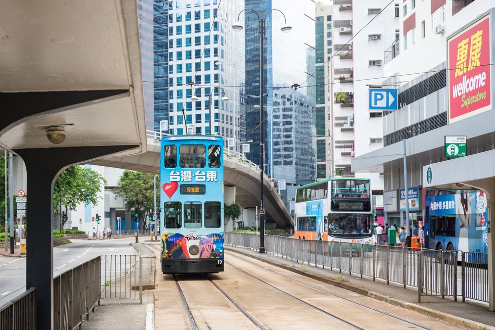 Фото: Prath / Shutterstock.com