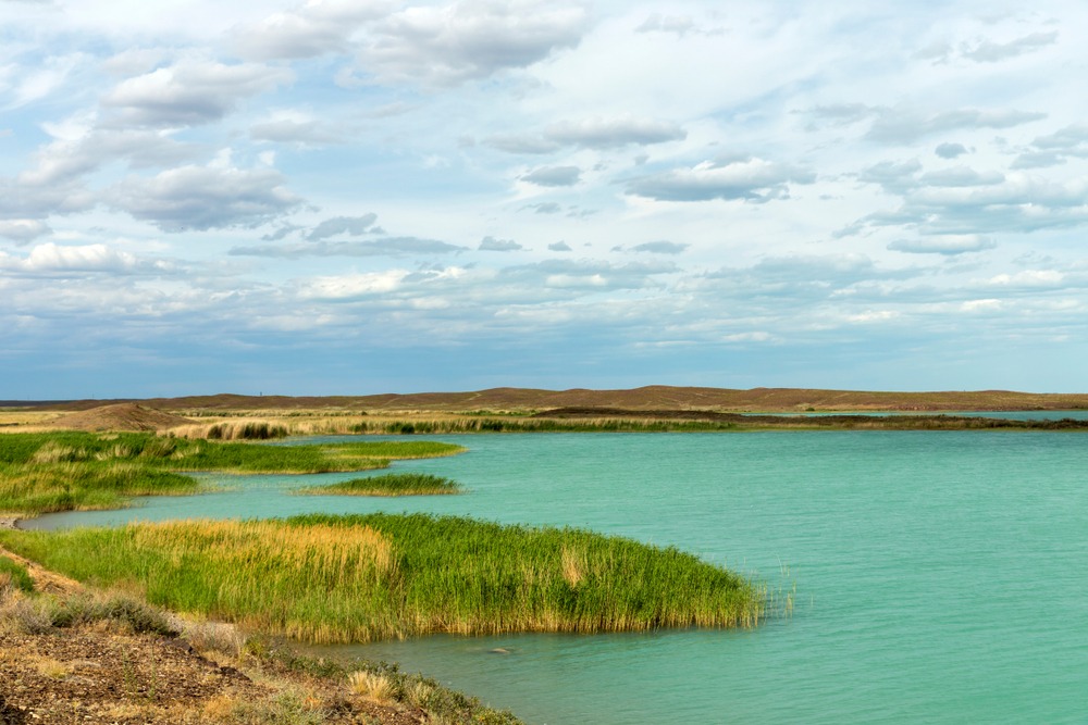 Фото: Shutterstock