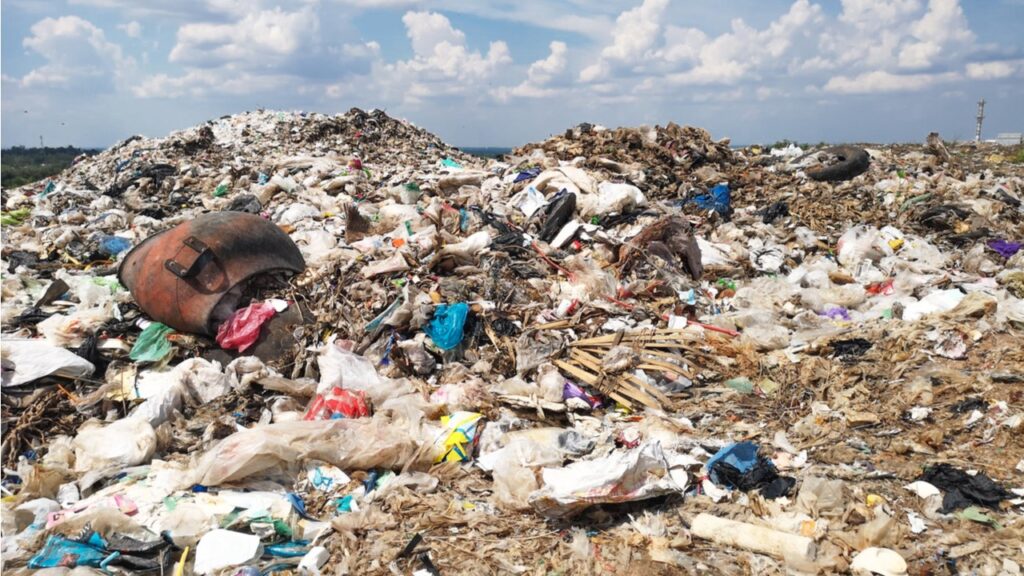 Фото: Shutterstock