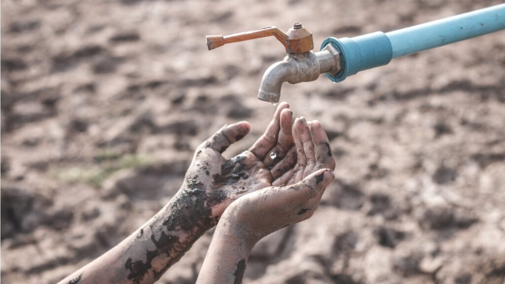 Фото: Shutterstock