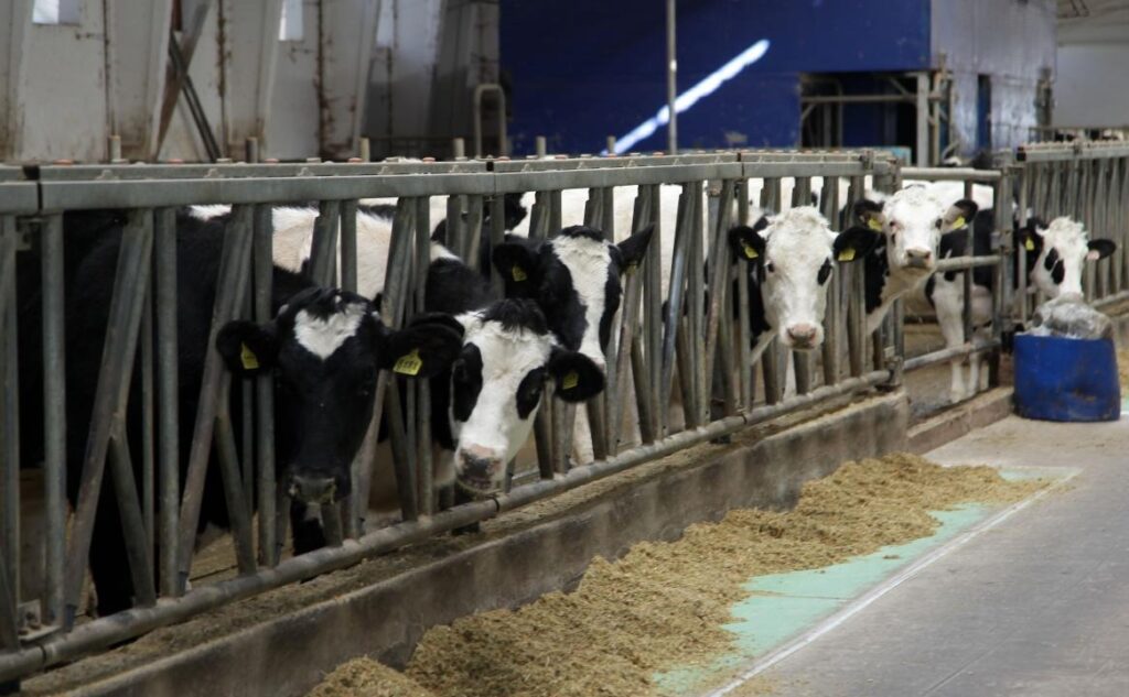 Фото: Олег Спивак