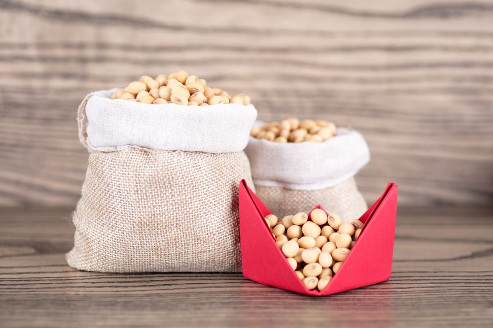 Фото: shutterstock