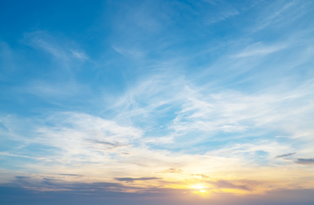 Фото: Shutterstock