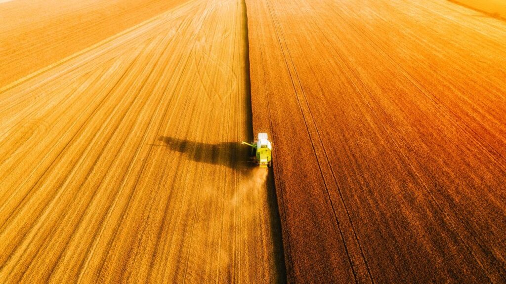 Фото: shutterstock/Raland