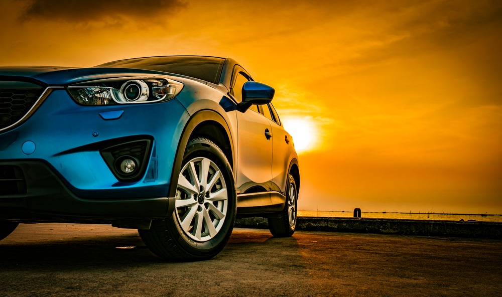 Фото: shutterstock